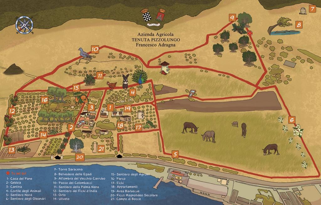Azienda Agrituristica Tenuta Pizzolungo Erice Luaran gambar
