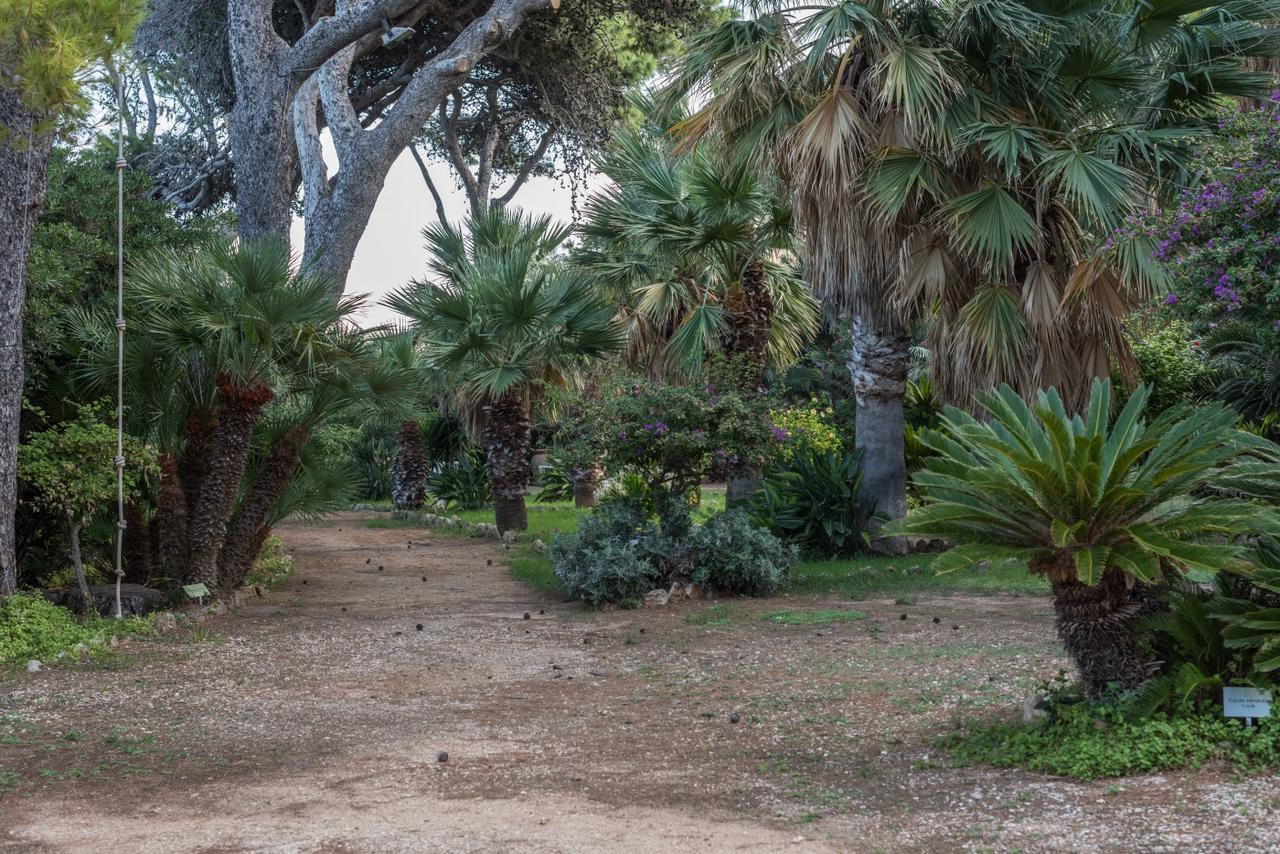 Azienda Agrituristica Tenuta Pizzolungo Erice Luaran gambar